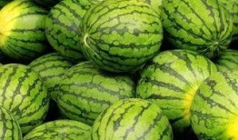 吃瓜大赛 黑料不打样,揭秘黑料背后的真相与趣味